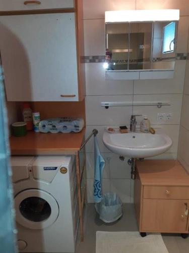 a small bathroom with a washing machine and a sink at Neue Wohnung am Fluss in Losenstein