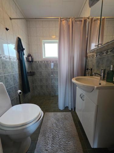 a bathroom with a toilet and a sink at Stora Tegelhuset in Borlänge