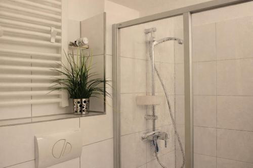 a bathroom with a shower with a plant in it at Ole's BergSuite in Braunlage