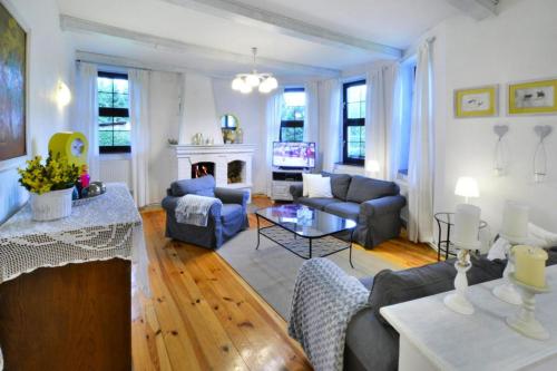a living room with couches and a fireplace at Holiday home, oasis of peace, Polanow in Pollnow