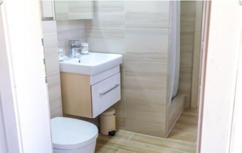 a bathroom with a white sink and a toilet at Chalupa Hlohovec in Hlohovec