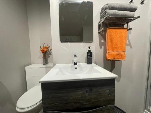 a bathroom with a sink and a toilet and a mirror at Quarrymen's Arms in Nant-y-bwch