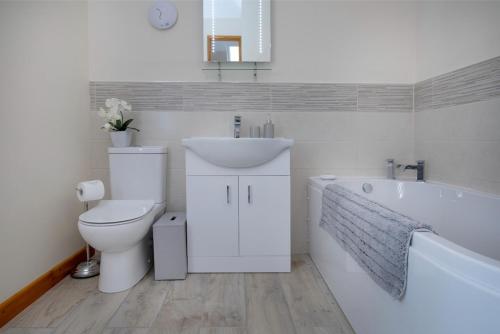 a bathroom with a toilet and a sink and a bath tub at Bamford Barn in Ottery Saint Mary