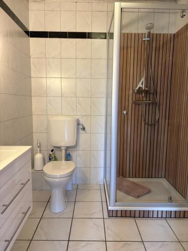 a bathroom with a toilet and a shower at Apartments Schnepel in Sankt Michaelisdonn