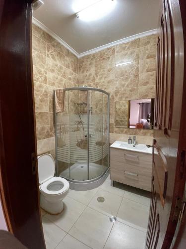 a bathroom with a toilet and a shower and a sink at Residencial Aeroporto in São Tomé