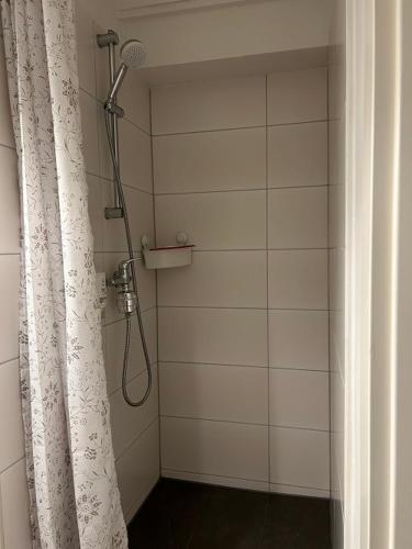 a shower in a bathroom with a shower curtain at Günstige Ferienwohnung 2 Pers zentral Hamburg BoLA 48 in Hamburg