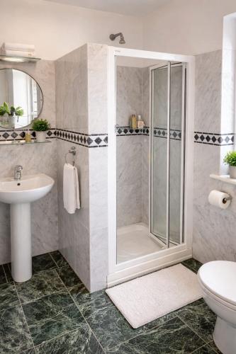 a bathroom with a shower and a toilet and a sink at Slieve League Lodge in Carrick