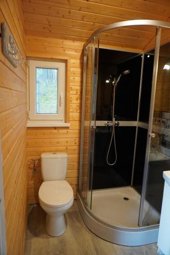 a bathroom with a toilet and a shower at Koziołkowo in Bartoszylas