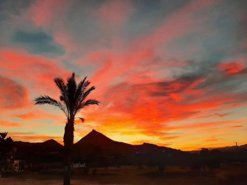 Complejo Delfos Mojácar