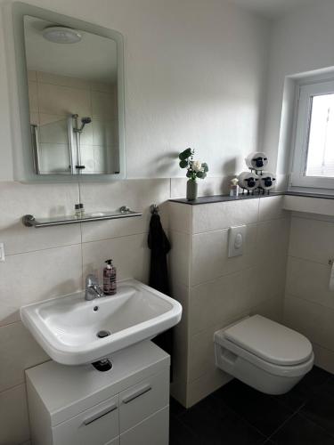 a bathroom with a sink and a toilet and a mirror at Mia's Landzeit in Nettersheim