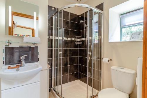 a bathroom with a shower and a toilet and a sink at 3 Bed in Sustead oc-1880 in Felbrigg
