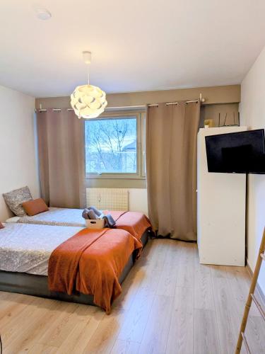 Studette Cozy a Schiltigheim