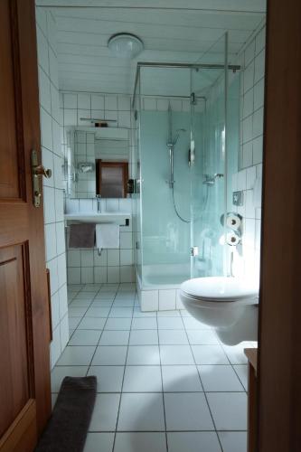 a bathroom with a shower and a tub and a sink at Gasthaus Grüner Baum in Prichsenstadt