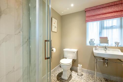 a bathroom with a toilet and a sink and a shower at 1 Bed in Brassington oc-dcneb in Brassington