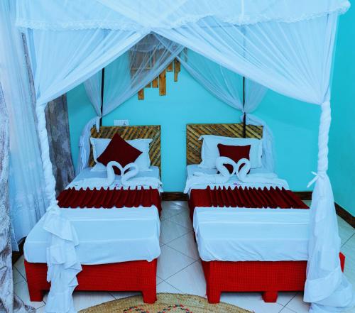 Safari Park House