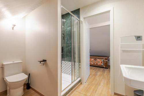 a bathroom with a shower and a toilet and a sink at Romantic 4-star suite with private heated pool in Gimbrett