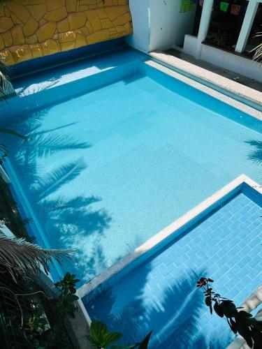 a blue swimming pool with a palm tree in it at Hotel Doña Mary Huatulco in Santa Cruz Huatulco