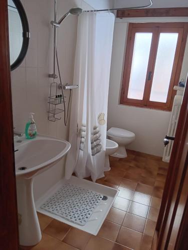 a bathroom with a shower and a sink and a toilet at Chalet Luisa in Cima Gogna