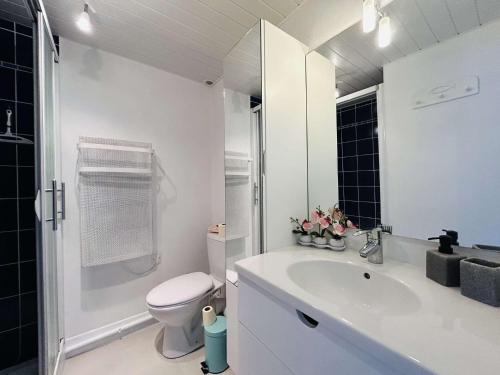 Appartement Studio Mezzanine 45m2 CT120-1070