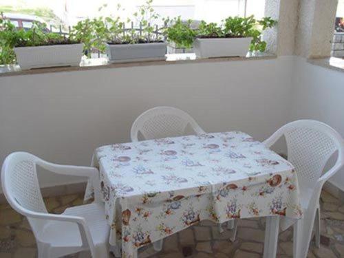 Apartment Mladen