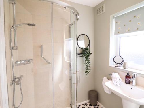 a bathroom with a shower and a sink at Castle Cove in Abergele