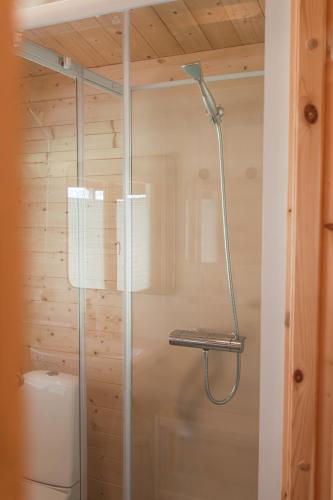 a shower with a glass door in a bathroom at Förland Sunnemo in Sunnemo