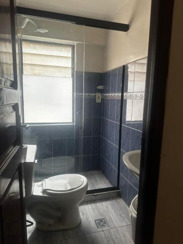 Cretassic Hostal في سوكر: حمام مع مرحاض ودش ومغسلة