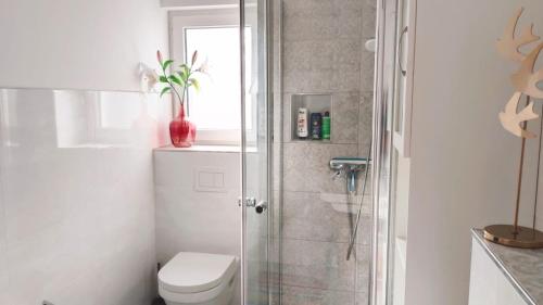 a bathroom with a toilet and a glass shower at Studioraum nähe Koblenz in Sankt Sebastian