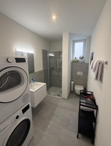 Premium Family Apartment by Hotel Basler Tor Lucerne