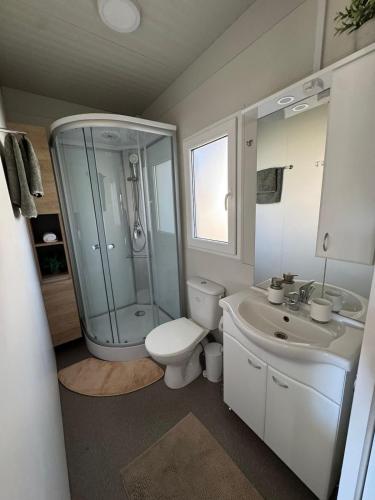 a bathroom with a shower and a toilet and a sink at Mobile Home Clelia in Sveti Petar