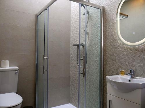 a bathroom with a shower and a toilet and a sink at Desota House Bed and Breakfast in Galway