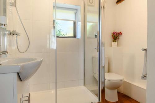 a bathroom with a shower and a toilet and a sink at 1 Bed in Saxmundham oc-c27420 in Farnham