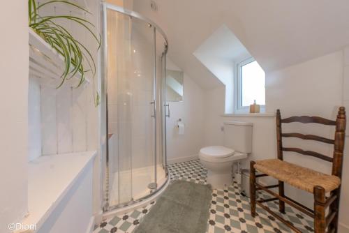 a bathroom with a shower and a toilet and a chair at Allt-Goch in Llanbedr