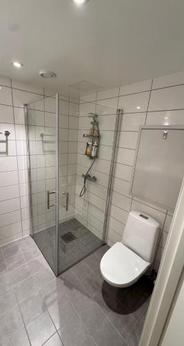 a bathroom with a shower with a toilet at Ulven Paradise in Oslo
