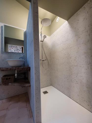 a bathroom with a sink and a shower in a room at Aumônerie du Prieuré in Pouzauges