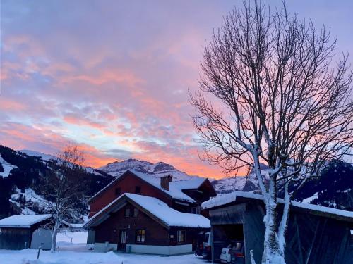a house in the snow with a tree at Apartment Lischenhaus 2 - Wohnung Flösch by Interhome in Lenk
