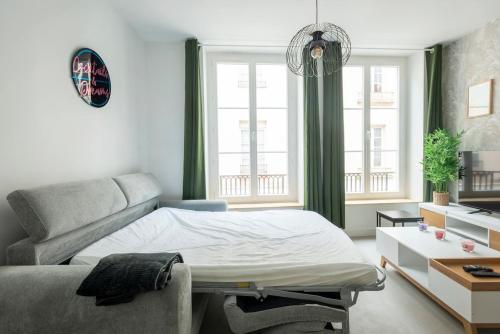 a living room with a bed and a couch at COCKTAIL & DREAM #Hyper Centre# Renové# fully equiped in Chalon-sur-Saône
