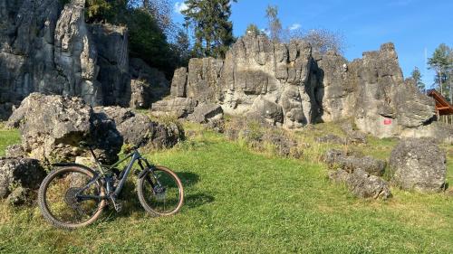 a bike parked on the grass next to some rocks at Ferienhaus am Jakobsberg in Königsfeld