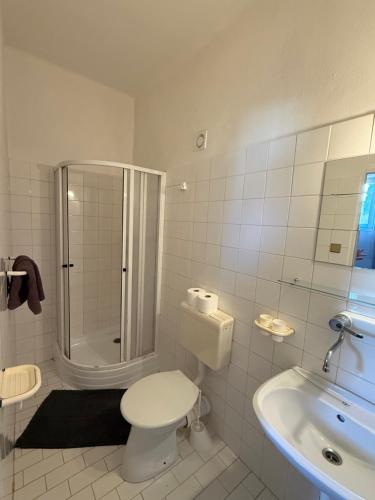 a bathroom with a shower and a toilet and a sink at Penzion Vis a Vis in Třebíč