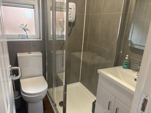 a bathroom with a shower and a toilet and a sink at Stylish Holiday Home - Caherdaniel in Caherdaniel