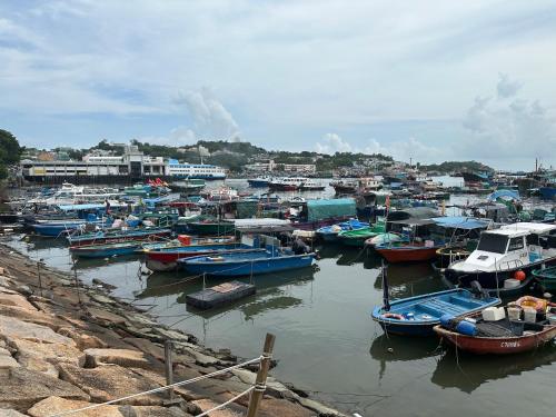 a bunch of boats are docked in a harbor at Moktan Homestay in Pakhyong