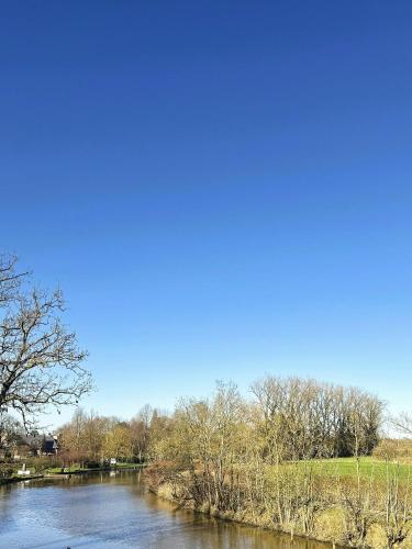Blick auf einen Fluss mit Bäumen und blauem Himmel in der Unterkunft Hotel Nenuphar in Gent