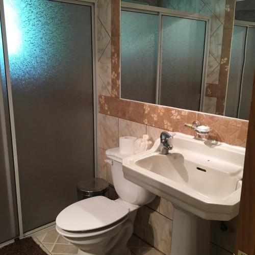 a bathroom with a toilet and a sink at Casa de Campo, tranquilidad natural in Curicó