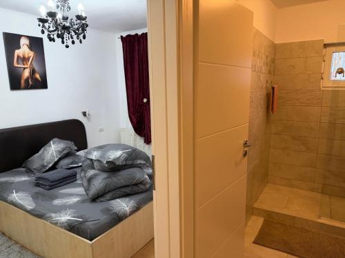 a bedroom with a bed and a shower at Afrodita Apartment in Timişoara