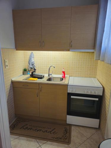 a small kitchen with a sink and a stove at B&M Cozy Corner in Igoumenitsa