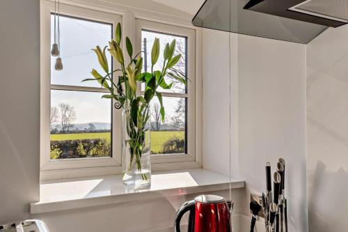 a vase with a plant sitting on a counter next to a window at 1 Bed in Cilcain oc-s29009 in Cilcain