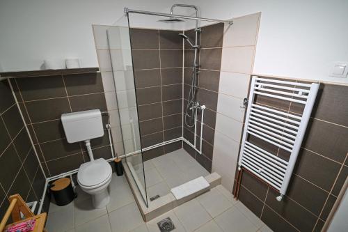 a small bathroom with a shower and a toilet at Five stars in Dubrava