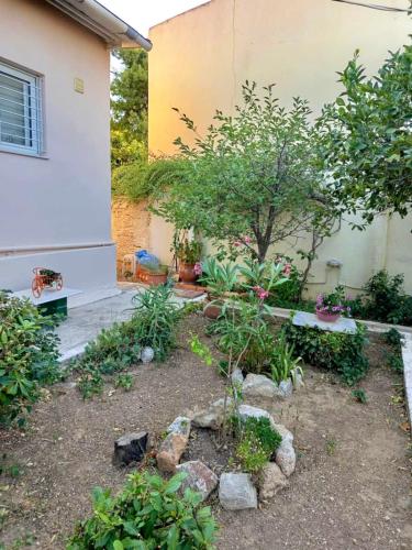 Evilia's house & little garden