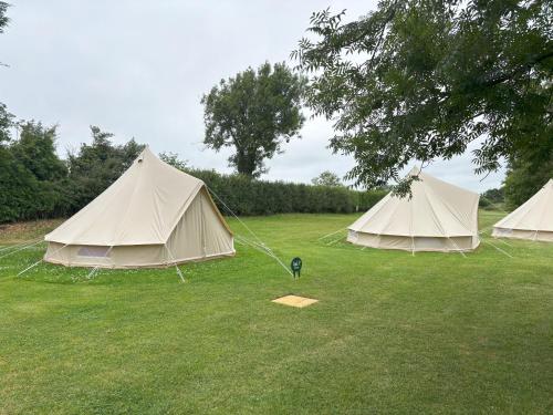 a group of three tents in a field at Dovedale in Ashbourne