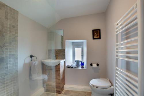 a bathroom with a toilet and a sink at 2 Bed in Low Row oc-ds059 in Feetham